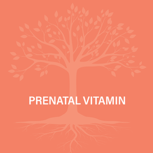 Prenatal Vitamin